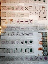 Borduurpakket ook geschikt voor starters Dubbele ringen Zwart set incl 2 ringen
