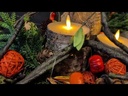 youtube - [Video]