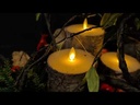 youtube - [Video]