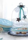 IJspen Ice-Pen