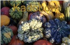 Cadeaubon Kadobon 35 euro