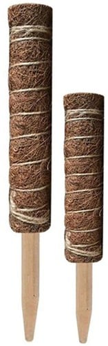 Mosstok Kokosstok planten totems set 50 + 30 cm