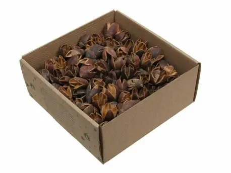 Bakuli naturel 400 gr