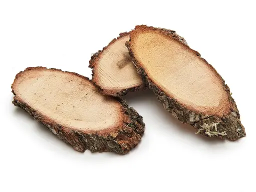 [A-011315] Eikenschijf Eikenschijven OVAAL Naturel 10-11 cm / 4 stuks