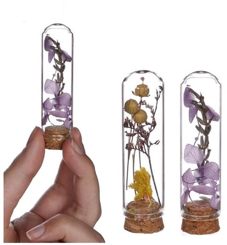 [A-023443] Mini Dome stolpjes gevuld met droogbloemen Ø2 h.7 cm set 6