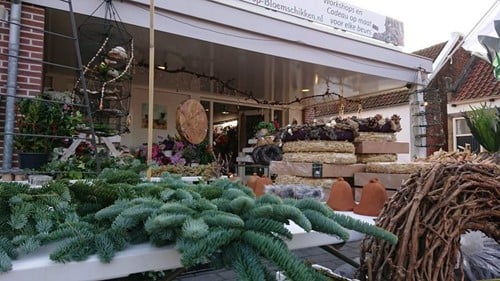 [A-027298] Nobilis DennenGroen Tak vers WinterGroen vers