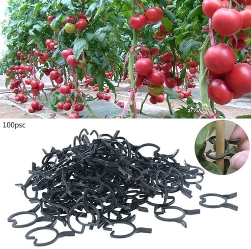 [A-022452] Plantclips tomaten lagenaria druiven klimplanten 3.7 x 3.2 cm 100 stuks