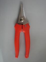 [A-003955] Bloemenschaar middel met lock 15 cm oranje