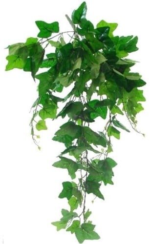 [A-025787] Hedera Groen Zijden Bladeren Hanger vuller
