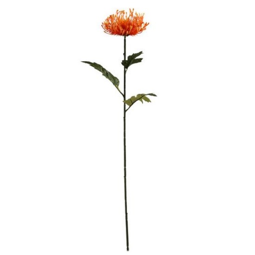 [A-028036] Protea Oranje Zijdenbloem 75 cm per stuk