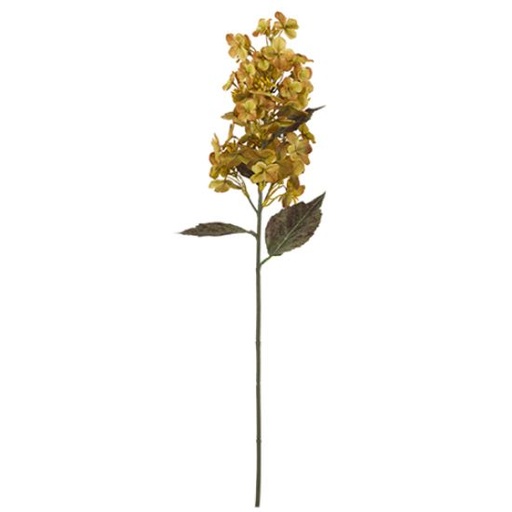 [A-028009] Pluim Hortensia Mosterd Zijdenbloem 72 cm per stuk
